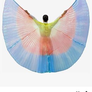 Colorful Winged Dance Costume